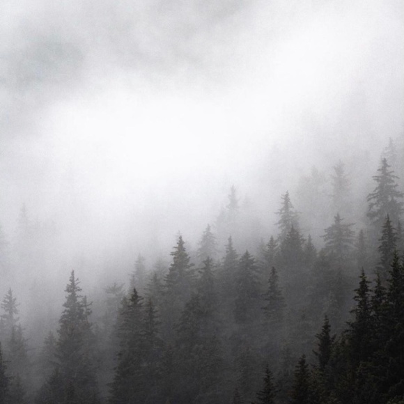 Wickedcoolstuff - Picture 8 of 9